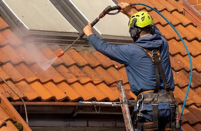 Démoussage et hydrofuge de toiture à Damvix